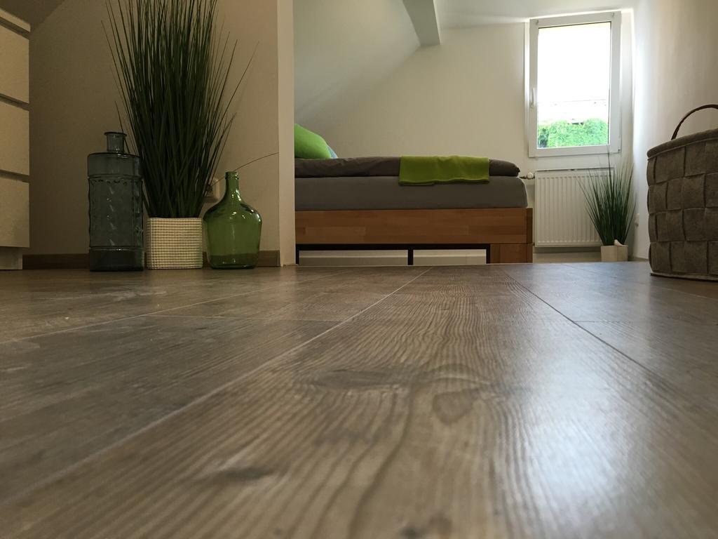 Ferienhaus Zur Mainpforte Mainz Dış mekan fotoğraf