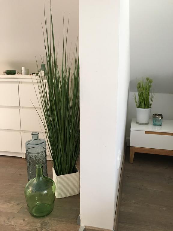 Ferienhaus Zur Mainpforte Mainz Dış mekan fotoğraf